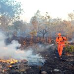 governo-federal-reune-estados-e-municipios-para-alertar-sobre-possivel-el-nino-“muito-forte”-que-ameaca-regiao-norte-com-seca-severa-e-risco-de-incendios-neste-trimestre-de-2026