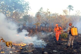 governo-federal-reune-estados-e-municipios-para-alertar-sobre-possivel-el-nino-“muito-forte”-que-ameaca-regiao-norte-com-seca-severa-e-risco-de-incendios-neste-trimestre-de-2026