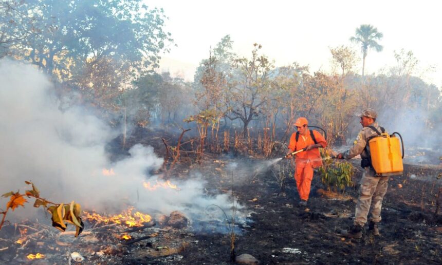 governo-federal-reune-estados-e-municipios-para-alertar-sobre-possivel-el-nino-“muito-forte”-que-ameaca-regiao-norte-com-seca-severa-e-risco-de-incendios-neste-trimestre-de-2026
