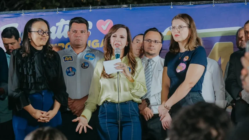 em-encontro-com-advogados,-dorinha-seabra-garante-debate-tecnico-com-oab-e-dpe-sobre-possivel-implementacao-da-advocacia-dativa