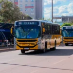 palmas-tera-reforco-no-transporte-coletivo-neste-domingo-para-o-1o-turno-das-eleicoes
